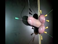 Man have his cock full of pins